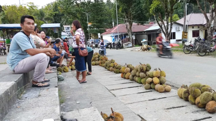 Musim Panen Segera Berakhir, Penjualan Durian di Telukdalam Tetap Ramai