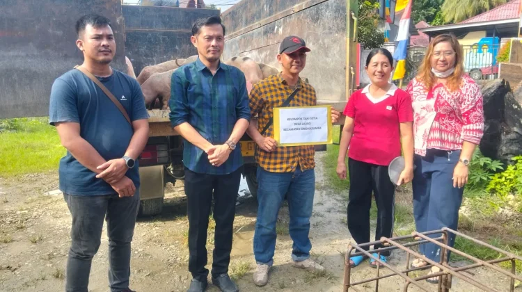 Dinas Pertanian Nisel Salurkan Bantuan Bibit Ternak Babi Bagi Enam Poktan