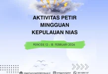 Total 412 Sambaran Petir Terjadi di Kepulauan Nias Minggu Ini