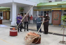Kejari Nias Selatan Melakukan Pemusnahan Barang Bukti Perkara Tipidum