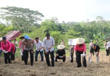 Polres Nisel Tanam Jagung Serentak Dukung Ketahanan Pangan