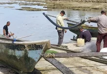 Cuaca Tak Menentu, Hasil Tangkapan Nelayan Sondregeasi Turun