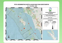 Seismitas Mingguan Kepulauan Nias, Total 14 Kejadian Gempa