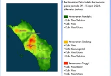 Aktivitas Petir Mingguan di Kepulauan Nias Masih Tinggi, Capai 13 Ribu Sambaran