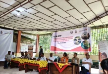 WVI Gelar Kick Off Penanaman Simalambuo di Fanayama