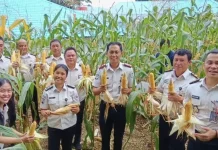 Lapas Telda Komitmen Dukung Ketahanan Pangan Melalui Aksi Nyata