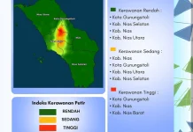 BMKG Catat Aktivitas Petir Mingguan Kepulauan Nias Capai Tiga Ribu Sambaran