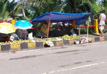 Warga Manfaatkan Musim Buah Mangga untuk Dapat Penghasilan Tambahan