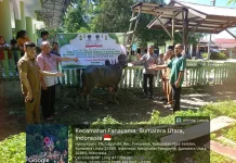 Pengurus Empat Mesjid di Nisel Terima Bantuan Hewan Qurban dari Pemkab Nisel