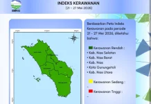 Indeks Kerawanan Petir di Kepulauan Nias Minggu Ini Rendah
