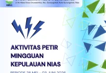 Total Aktivitas Petir di Kepulauan Nias Minggu Ini Naik Jadi 2.861 Kali Sambaran