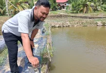 Kades Idala Jaya Dorong Percepatan Pembangunan Desa