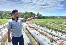 Pemerataan Pembangunan Jadi Prioritas Desa Idala Jaya