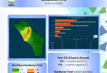 Aktivitas Petir di Kepulauan Nias Pekan Ini Meningkat, Total 33.147 Sambaran