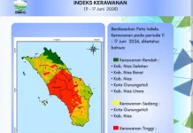 Total Aktivitas Petir Kepulauan Nias Minggu Ini Turun Jadi 6.556 Sambaran