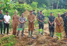 Wabup Nias Selatan Hadiri Penanaman Pohon Serentak