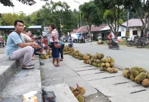 Musim Panen Segera Berakhir, Penjualan Durian di Telukdalam Tetap Ramai