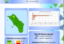 Aktivitas Petir Kepulauan Nias Minggu Ini Capai 201 Kali Sambaran