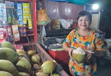 Kawasan Pelabuhan Lama Gunungsitoli Jadi Pusat Kelapa Muda