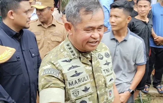 Buka Akses Daerah Terisolir, KASAD TNI: 1.076 Jembatan Akan Dibangun