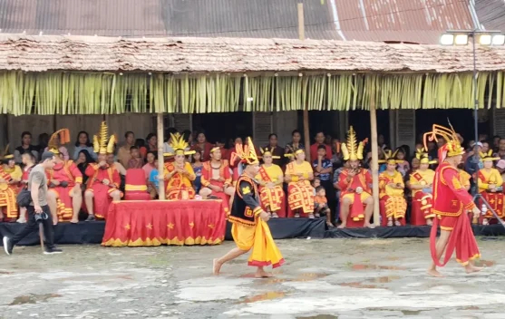 Membangkitkan Budaya Fa'orasa di Maniamolo Fest 2026