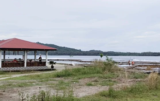 Nias Pro Vakum, Pelaku Wisata Sorake Harap Event Tersebut Digelar Kembali