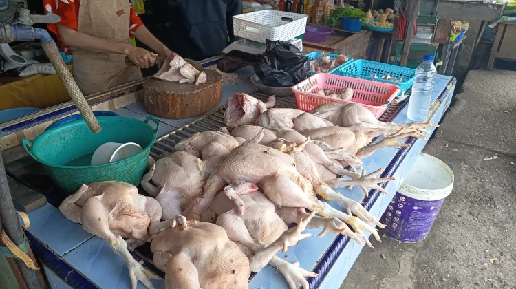 H-1 jelang Ramadan 2026, Harga Ayam Potong Lokal di Nunukan Stabil