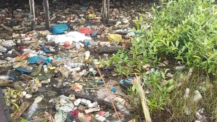 DLH Buka Peluang Tim Khusus Tangani Sampah Pesisir