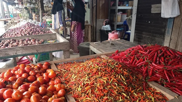 Awal Ramadan 2026, Harga Cabai Rawit di Nunukan Naik Tipis