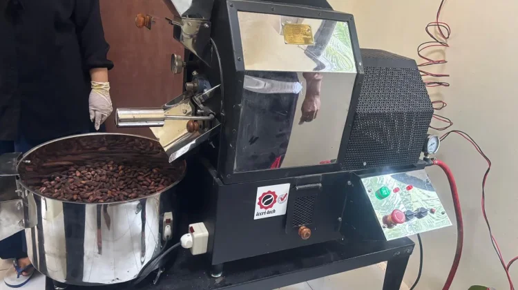 Hasil Pertanian Komoditi Kakao Sebatik tengah Bisa Bersaing Dengan Daerah Lain