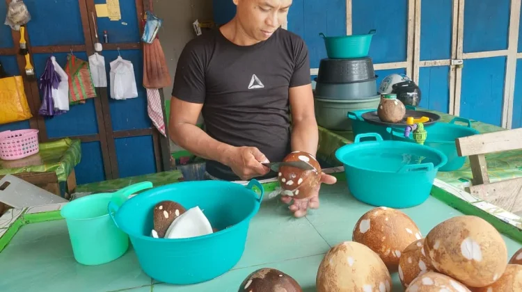 Jelang Lebaran, Harga Kelapa di Nunukan Tembus Rp15.000