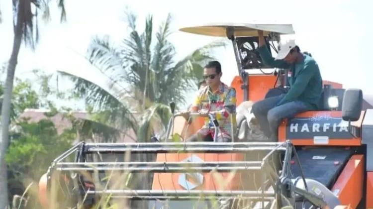 Bupati Nunukan Dorong Modernisasi Pertanian lewat Panen Raya di Mansapa