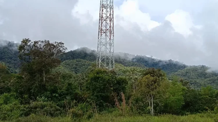 Jaringan Telekomunikasi Jadi Usulan Prioritas Musrenbang 2027 di Krayan Selatan