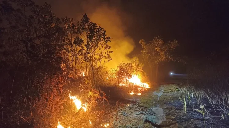 Puluhan Karhutla di Nunukan Diduga Disengaja
