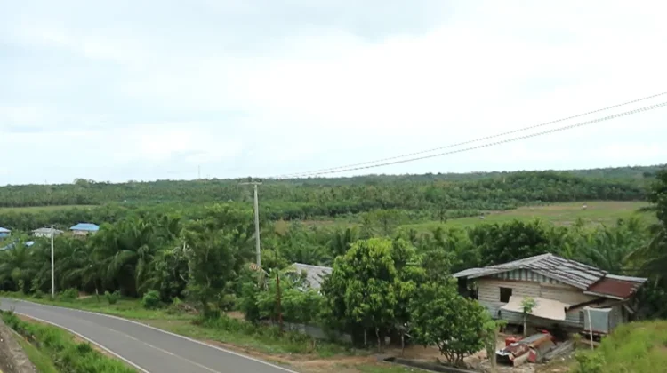 Pemerintah Siapkan Perpres Ganti Untung Lahan Warga Sebatik