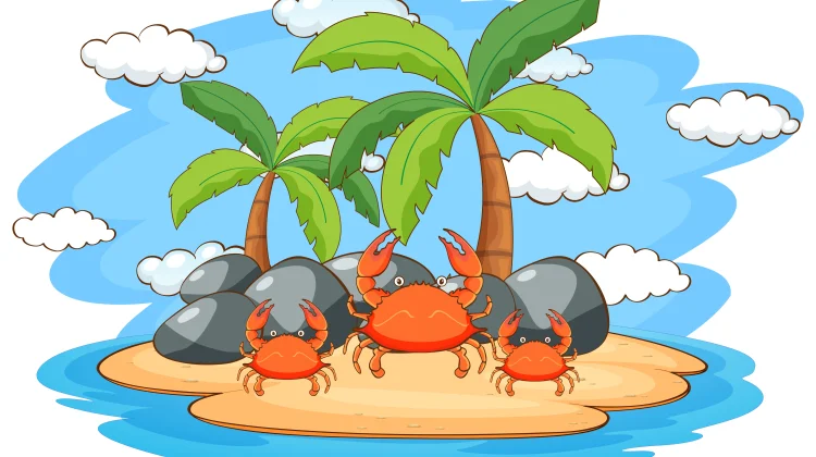 Ketam Kenari Si Raksasa Tropis Merupakan Kepiting Terkuat di Dunia