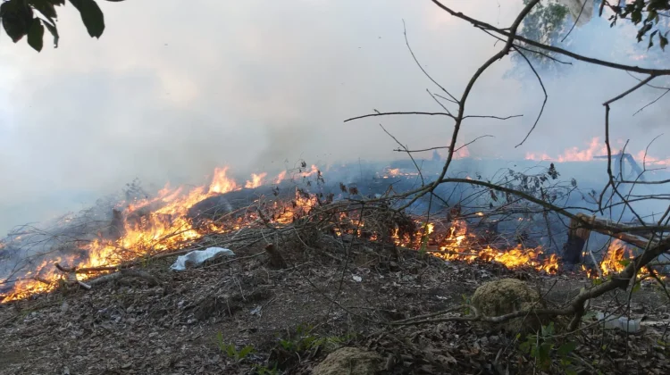 Karhutla Kembali Terjadi, BPBD Tekankan Efek Jera bagi Pelaku Pembakaran