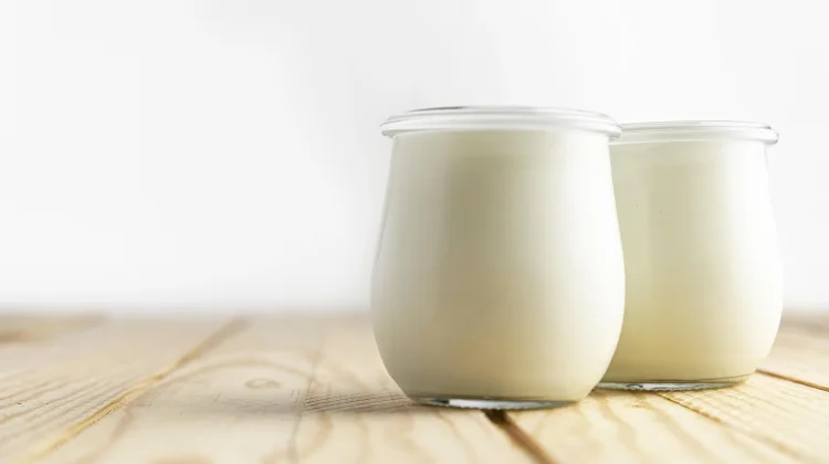 Resep Yogurt Homemade Rendah Gula, Hanya Butuh Dua Bahan