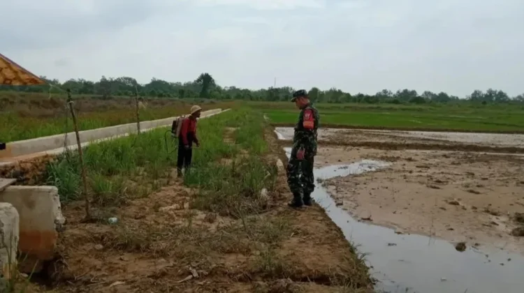 Warga Andi Senang Dapat Pendampingan Babinsa di Sawah