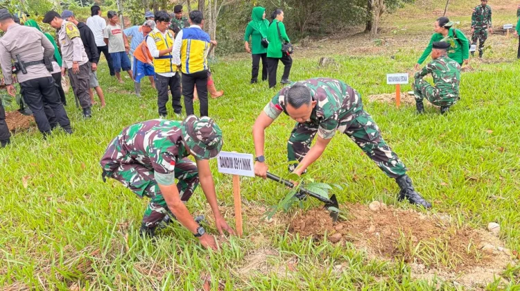 Ratusan Jenis Pohon Ditanam di Lokasi Embung Bolong Nunukan