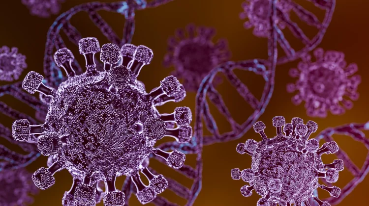 Apa Itu Hantavirus? Kenali Gejala, Penyebab, dan Cara Penularannya