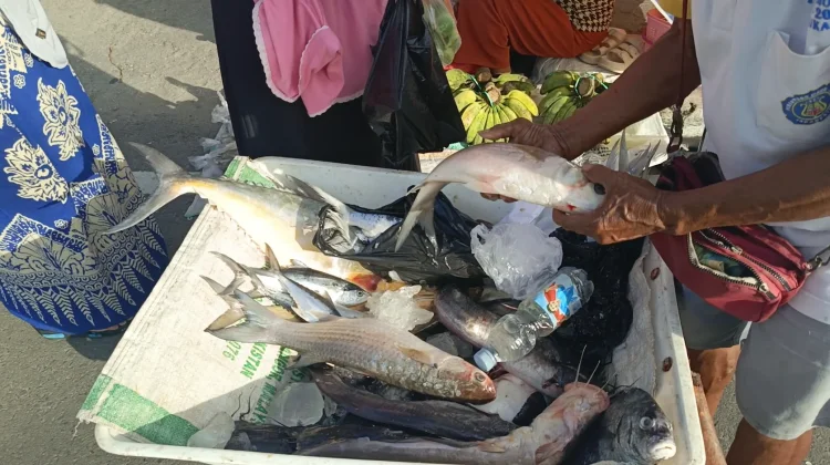 Pedagang Basah Diminta Kembali ke Pasar Yamaker