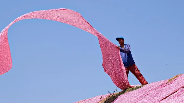 Dulu Warna Pink Justru Dipakai oleh Laki-Laki, Ini Sejarahnya!