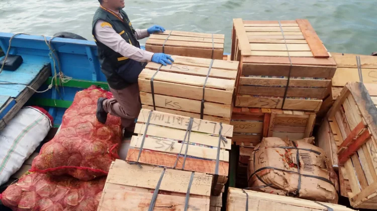 Produk Tumbuhan yang Beredar di Nunukan 80 Persen dari Sulawesi Selatan