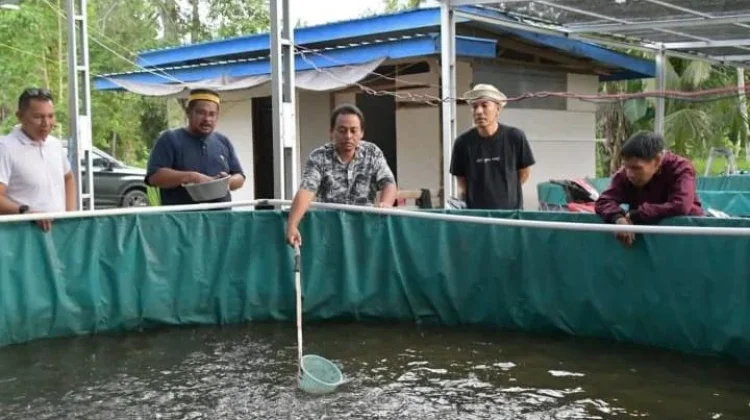 Studi Banding Bulungan di Sebatik hingga Budidaya Lele Bumdes