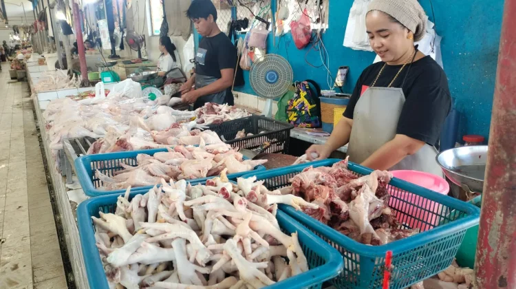 Pedagang di Pasar Yamaker Nunukan Siapkan Tiga Ribu Ekor Ayam jelang Iduladha 2026