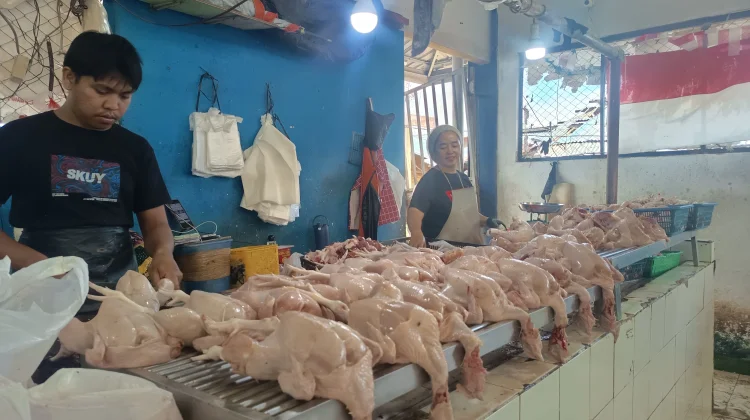 Pedagang Ayam Nunukan Jaga Harga Tetap Stabil Demi Pertahankan Pelanggan