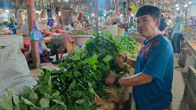 Harga Bayam Anjlok, Jagung dan Sawi Melonjak akibat Cuaca