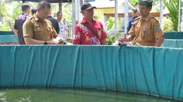 Predikat Anti Korupusi Desa Sungai Limau Sebatik