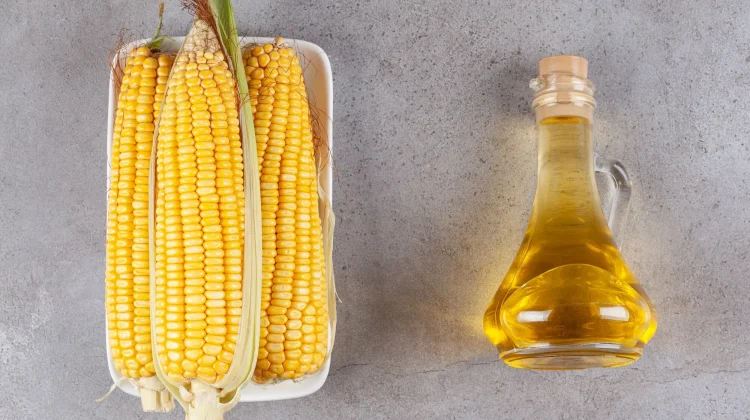 Manfaat Minyak Jagung